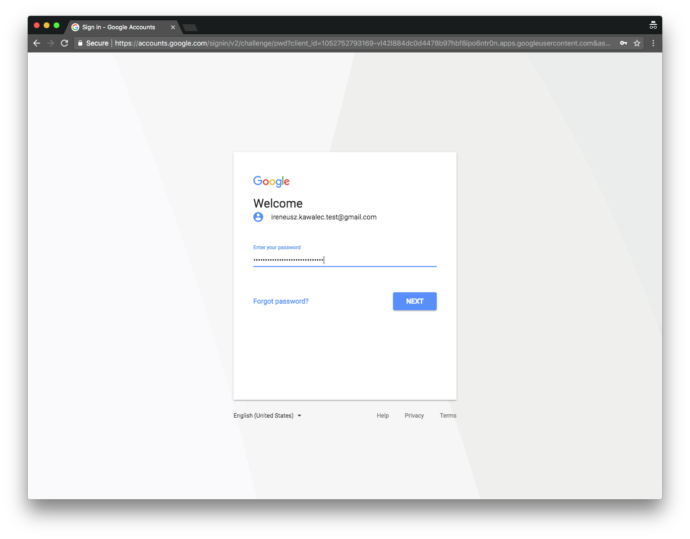 Google Setup